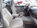 Platinum Grey - New Beetle TDI Coupe Photo No. 16