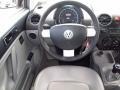 Platinum Grey - New Beetle TDI Coupe Photo No. 18