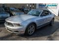 2010 Sterling Grey Metallic Ford Mustang V6 Premium Convertible  photo #16