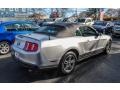 2010 Sterling Grey Metallic Ford Mustang V6 Premium Convertible  photo #18