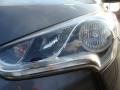 Triathlon Gray - Veloster  Photo No. 28