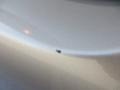 Solid Gold Metallic - Cooper Convertible Photo No. 16
