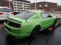 2014 Gotta Have it Green Ford Mustang V6 Coupe  photo #8