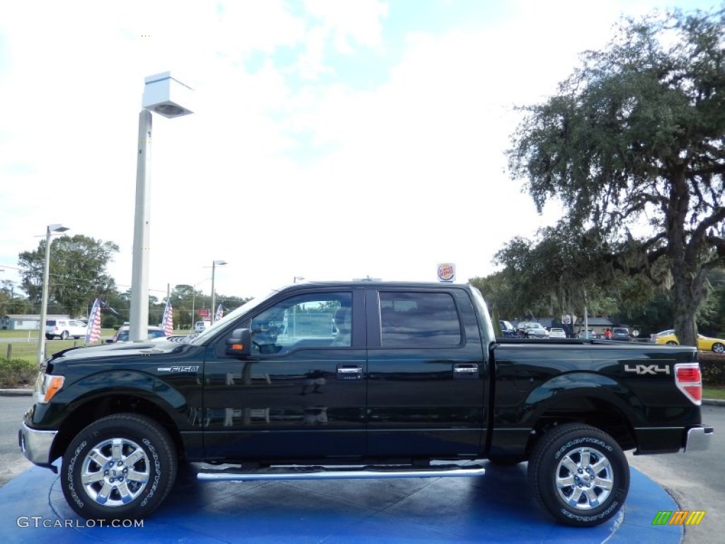 2014 F150 XLT SuperCrew 4x4 - Green Gem / Pale Adobe photo #2