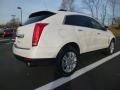 Platinum Ice Tricoat - SRX V6 Photo No. 7