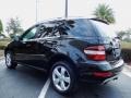 Black - ML 350 4Matic Photo No. 5