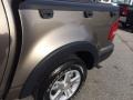 Mineral Grey Metallic - Explorer Sport Trac XLT 4x4 Photo No. 10