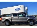 Sterling Grey 2014 Ford F150 XLT SuperCrew 4x4 Exterior