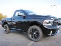 Black - 1500 Express Regular Cab Photo No. 4