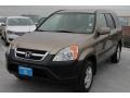 2004 Mojave Mist Metallic Honda CR-V EX 4WD  photo #3