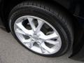 Super Black - Maxima 3.5 SV Premium Photo No. 9