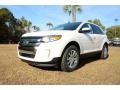 2013 White Suede Ford Edge SEL  photo #1