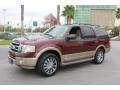 Royal Red Metallic - Expedition XLT Photo No. 2
