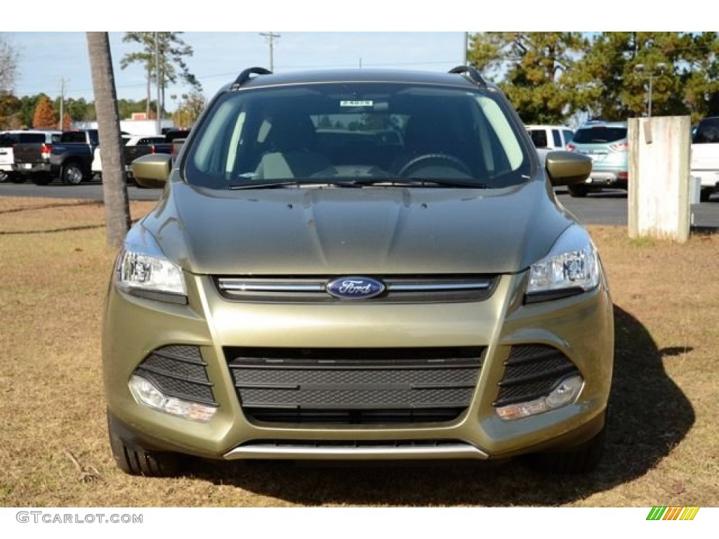 2014 Escape SE 1.6L EcoBoost - Ginger Ale / Charcoal Black photo #2