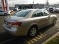 Golden Beige - Sonata GLS V6 Photo No. 5