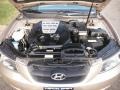 Golden Beige - Sonata GLS V6 Photo No. 9