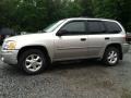 2006 Sand Beige Metallic GMC Envoy SLE 4x4  photo #1