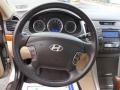 2009 Camel Pearl Hyundai Sonata Limited  photo #21