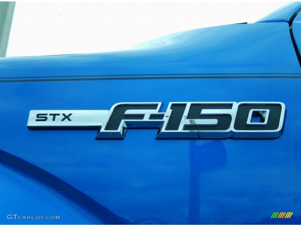 2014 F150 STX Regular Cab - Blue Flame / Steel Grey photo #5