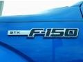 2014 Blue Flame Ford F150 STX Regular Cab  photo #5