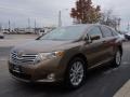 2012 Sunset Bronze Mica Toyota Venza LE  photo #2