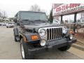 Black - Wrangler Unlimited 4x4 Photo No. 14