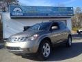 Polished Pewter Metallic - Murano SL AWD Photo No. 1