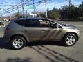 Polished Pewter Metallic - Murano SL AWD Photo No. 6