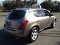 Polished Pewter Metallic - Murano SL AWD Photo No. 12