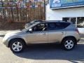 Polished Pewter Metallic - Murano SL AWD Photo No. 13