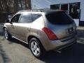 Polished Pewter Metallic - Murano SL AWD Photo No. 27
