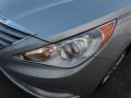 Radiant Silver - Sonata GLS Photo No. 4