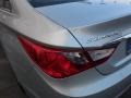 Radiant Silver - Sonata GLS Photo No. 10