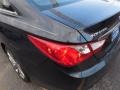 Pacific Blue Pearl - Sonata Limited 2.0T Photo No. 11