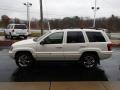 Stone White - Grand Cherokee Limited 4x4 Photo No. 5