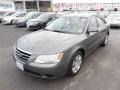 Willow Gray - Sonata GLS Photo No. 1