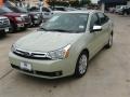 Natural Neutral Metallic - Focus SEL Sedan Photo No. 2