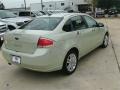 Natural Neutral Metallic - Focus SEL Sedan Photo No. 5