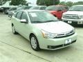 Natural Neutral Metallic - Focus SEL Sedan Photo No. 6