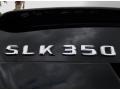 2010 Black Mercedes-Benz SLK 350 Roadster  photo #11