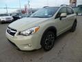 Desert Khaki - XV Crosstrek 2.0i Premium Photo No. 3