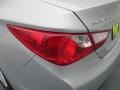 2014 Radiant Silver Hyundai Sonata GLS  photo #12