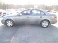 Willow Gray - Sonata GLS Photo No. 6