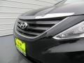Phantom Black Metallic - Sonata GLS Photo No. 10