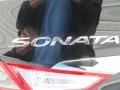 Phantom Black Metallic - Sonata GLS Photo No. 12