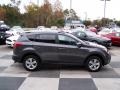 Magnetic Gray Metallic - RAV4 XLE Photo No. 3