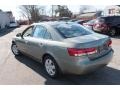 Natural Khaki Green - Sonata GLS Photo No. 10