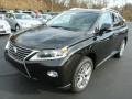 Stargazer Mica - RX 350 AWD Photo No. 7