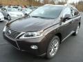 Fire Agate Pearl - RX 450h AWD Photo No. 7