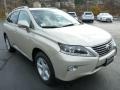 2014 Satin Cashmere Metallic Lexus RX 350 AWD  photo #5